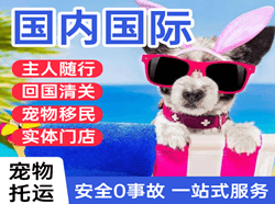 烟台蓬莱机场物流国际宠物托运 【国